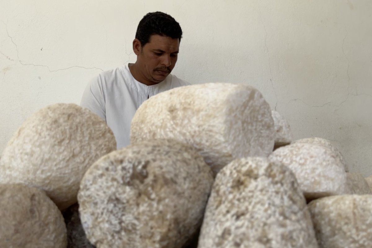 Egyptian craftsman seated behind a collection of rough alabaster boulders